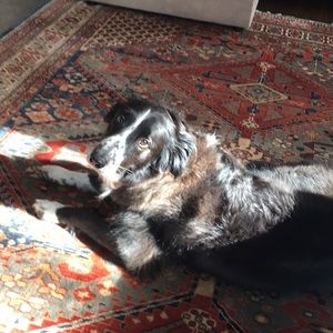 Meet your Posher, Katie